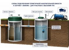 Эпишура 10 Миди